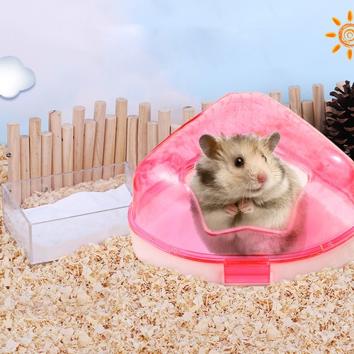 Small pet bath - pet,