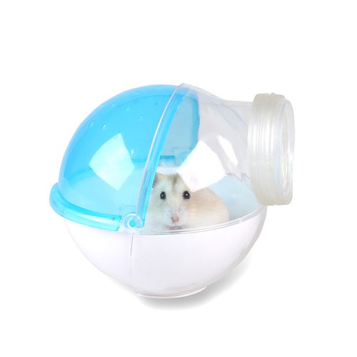 Ferret bath pool chinchilla - ferret,