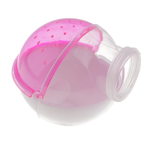 Ferret bath pool chinchilla - pool,